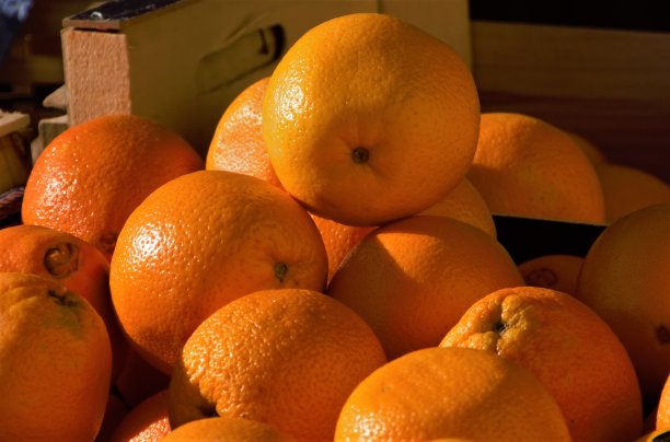 橘子水果特写