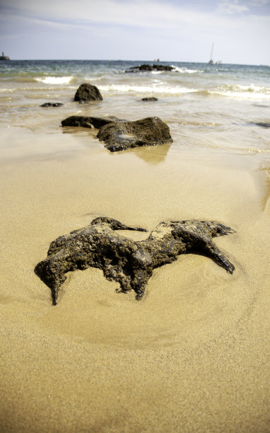 沙滩海滩海水水花泡沫