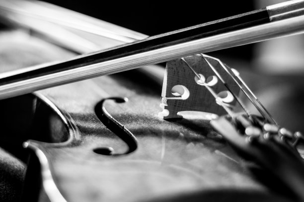 violin