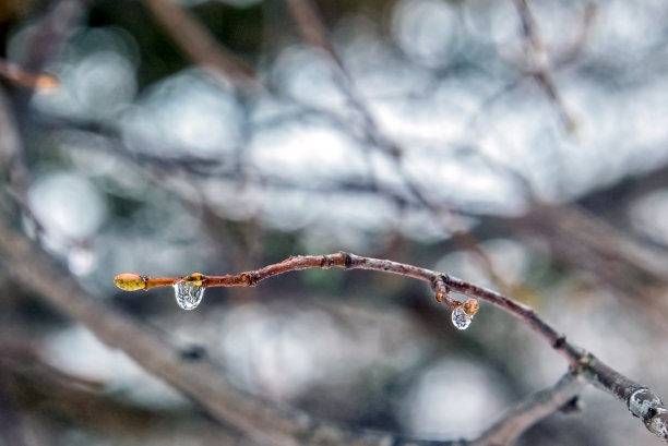 立冬大雪小寒雨水