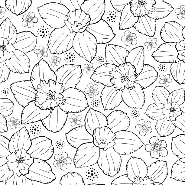 花卉黑白线描画