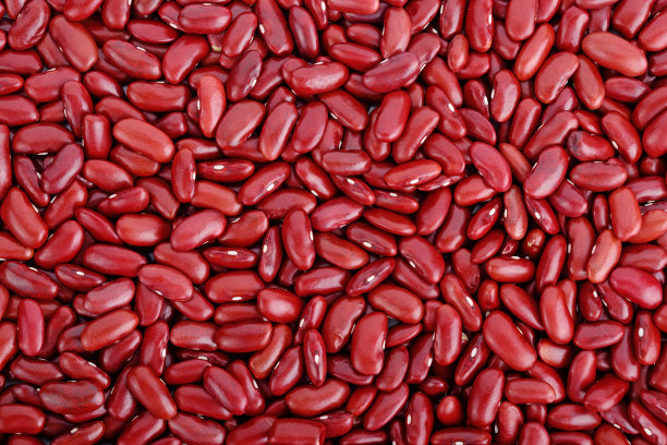红豆背景实拍