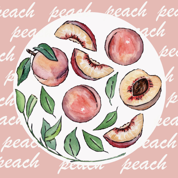 西梅水果插画