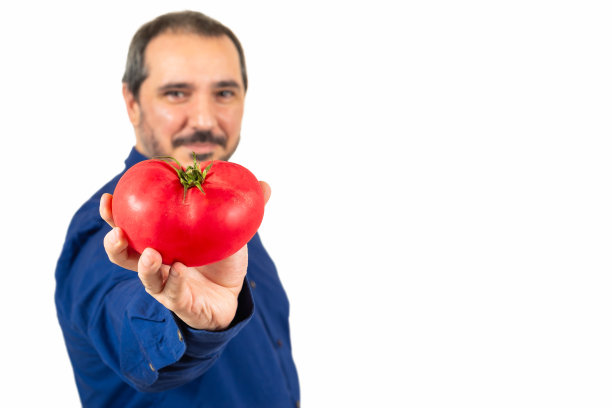 番茄西红柿形象