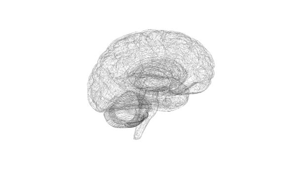 eeg