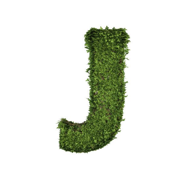 j字母图形