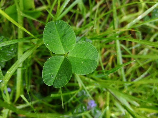 雨水风俗