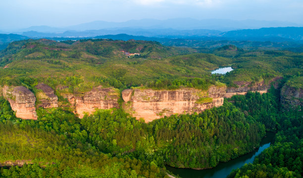 树林和树道