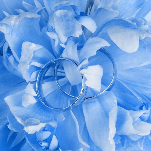 婚礼浪漫,蓝色,底纹花