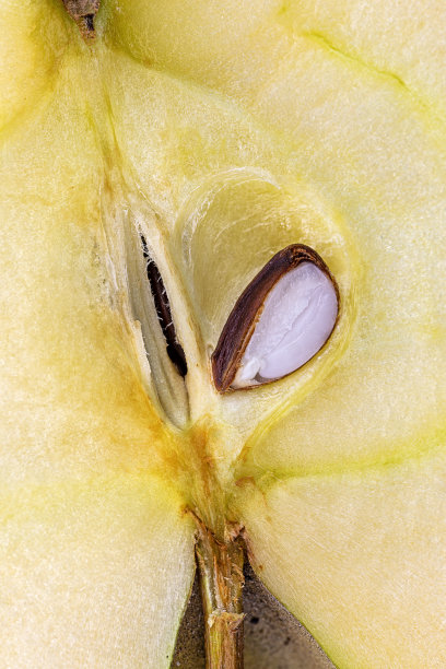 core