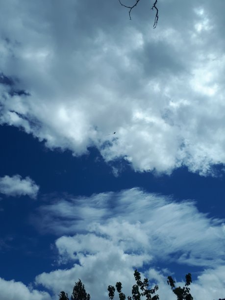 蓝天白云的风筝