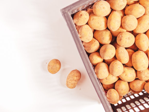 马铃薯包装箱 马铃薯 包装箱