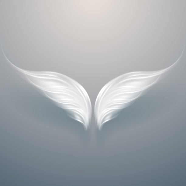 wings