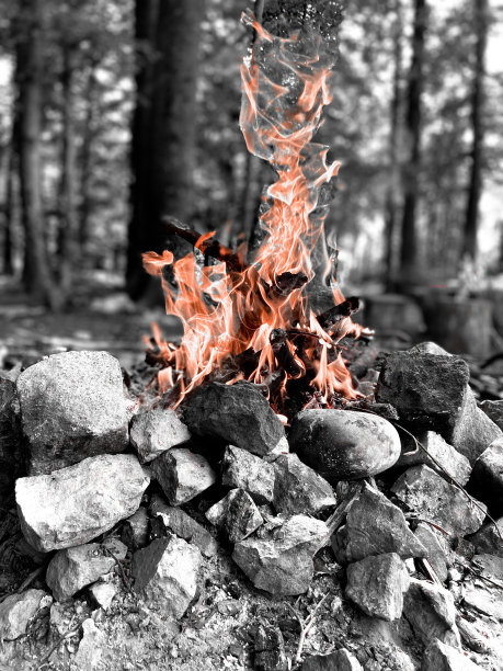 火焰的木柴