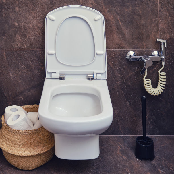 bidet