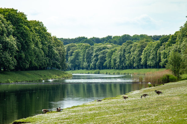 湖边生态景观