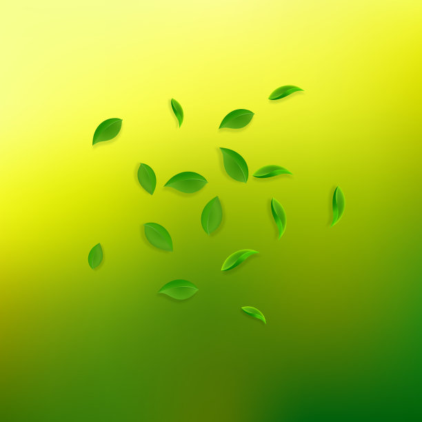 黄绿藻