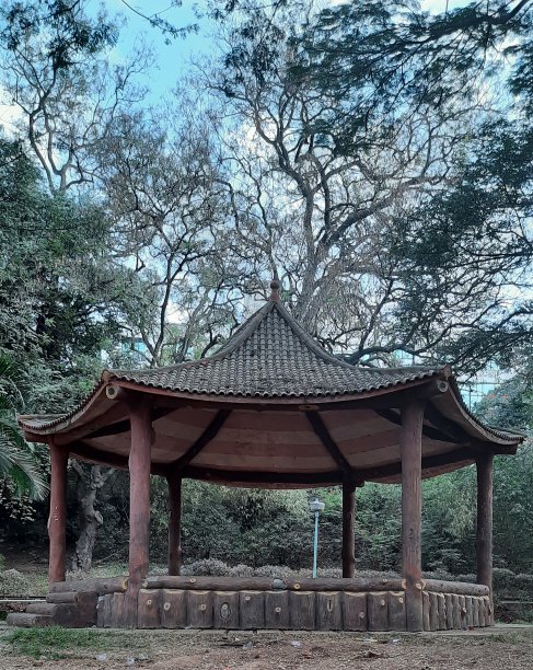 绿化