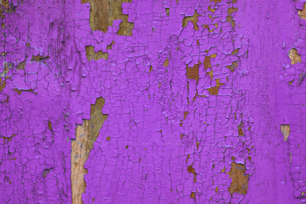 红紫木