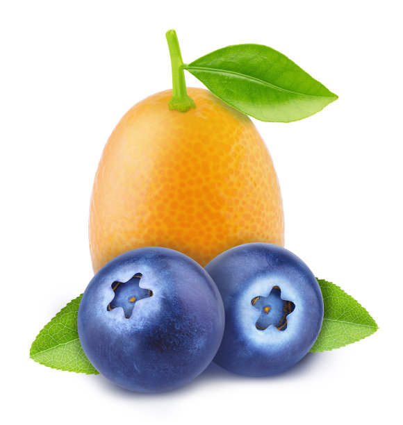 蓝莓水果棚拍