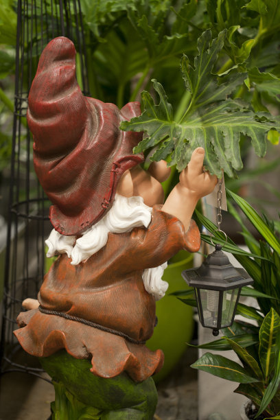 gnome