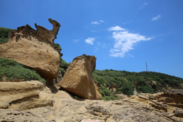 地形,户外,绿色