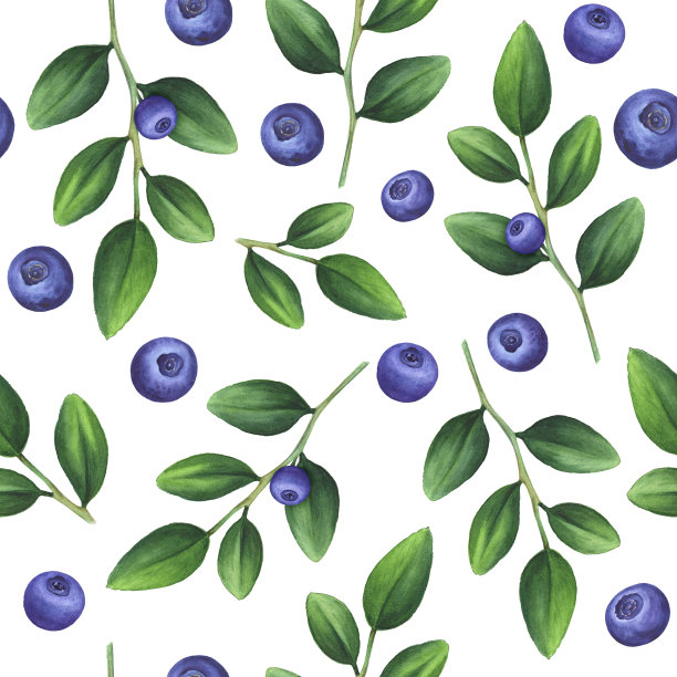 蓝莓画