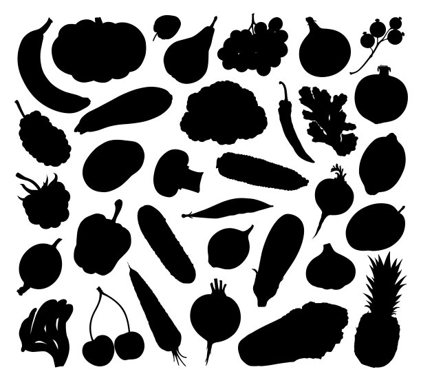 矢量土豆插画