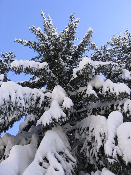 雪天抽象风景