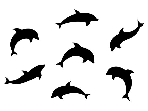 卡通鲸鱼logo