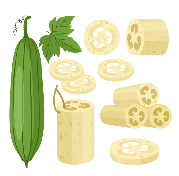 切片丝瓜