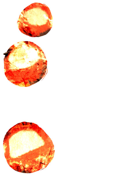 daruma