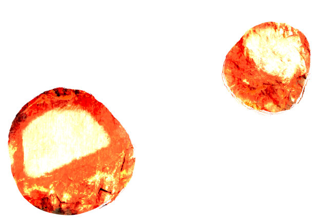 daruma