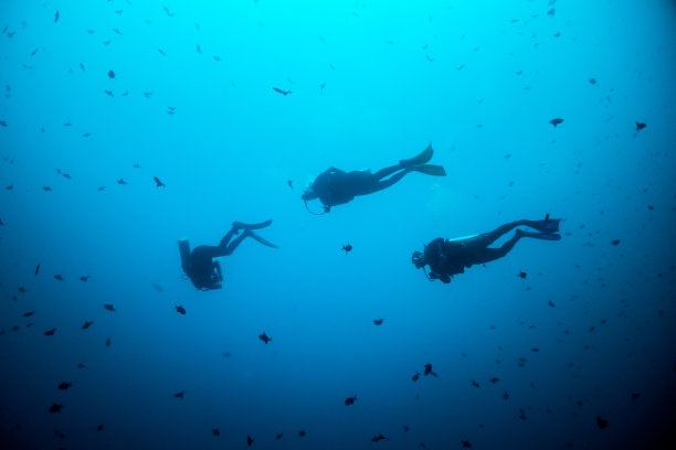 潜水探险