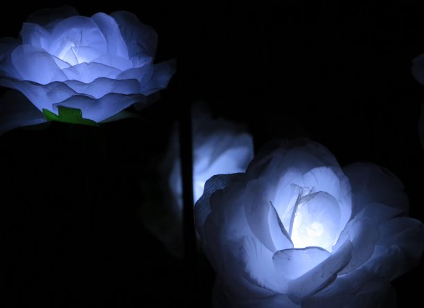 绚丽背景板
