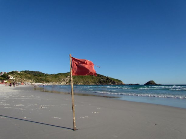 海边旗帜自然风景