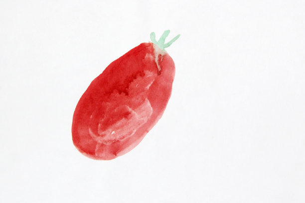西红柿创意摄影