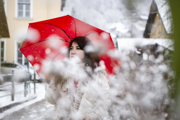 雪天特写