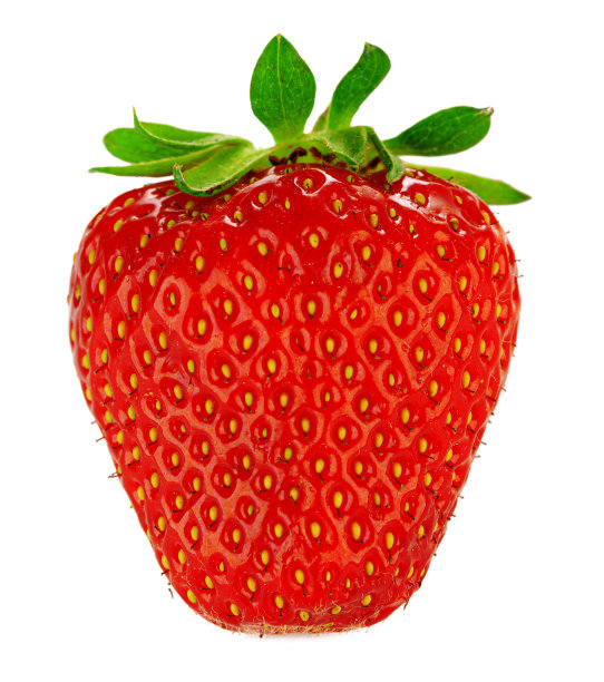草莓棚拍