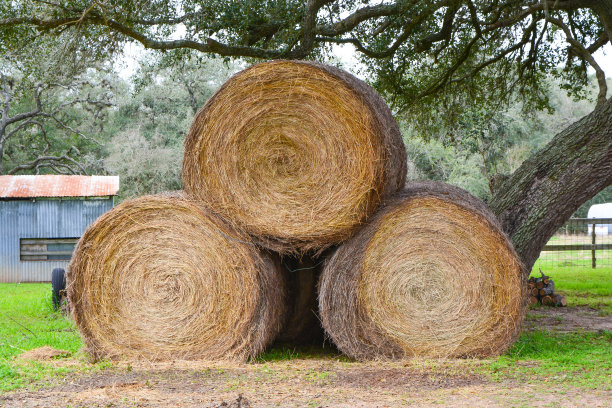 bale