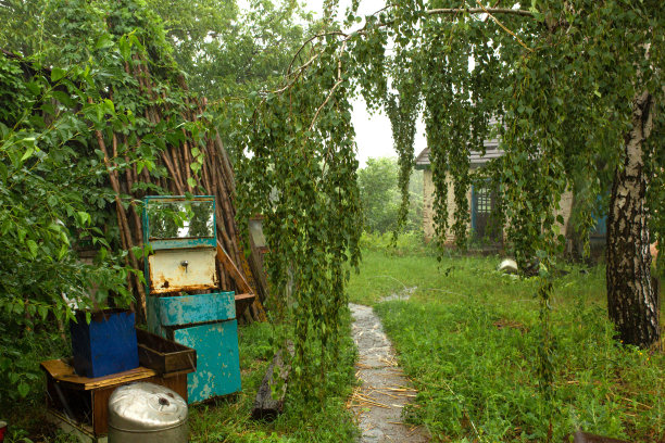 地产谷雨