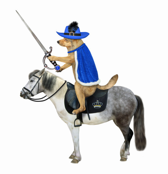 knight