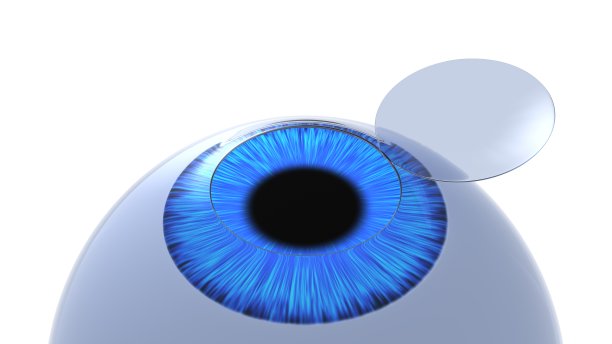 retina