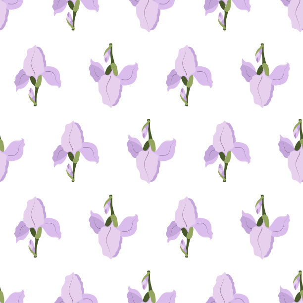紫鸢尾花素材