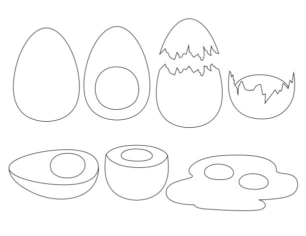 卵,蛋白质,白色