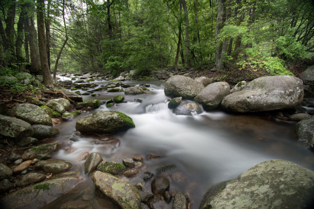 shenandoah