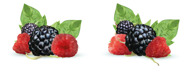 甜树莓
