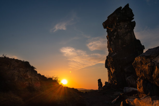 夕阳下的野草