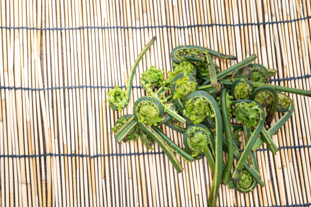 fiddlehead