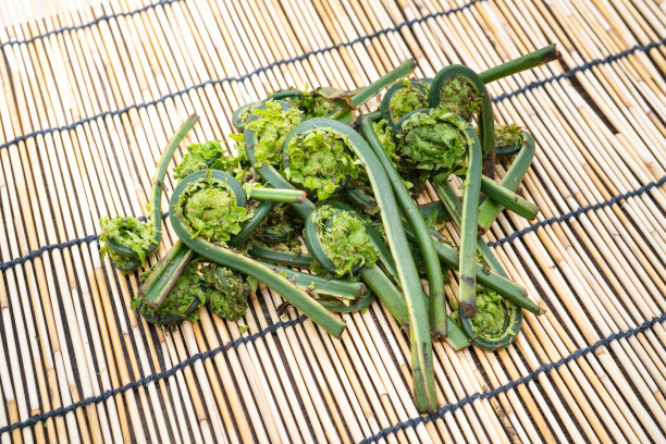 fiddlehead
